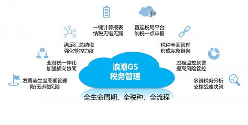 盤點5款好用的管理報表和經營分析系統，覆蓋多場景需求，助力公共資源交易運行技術服務